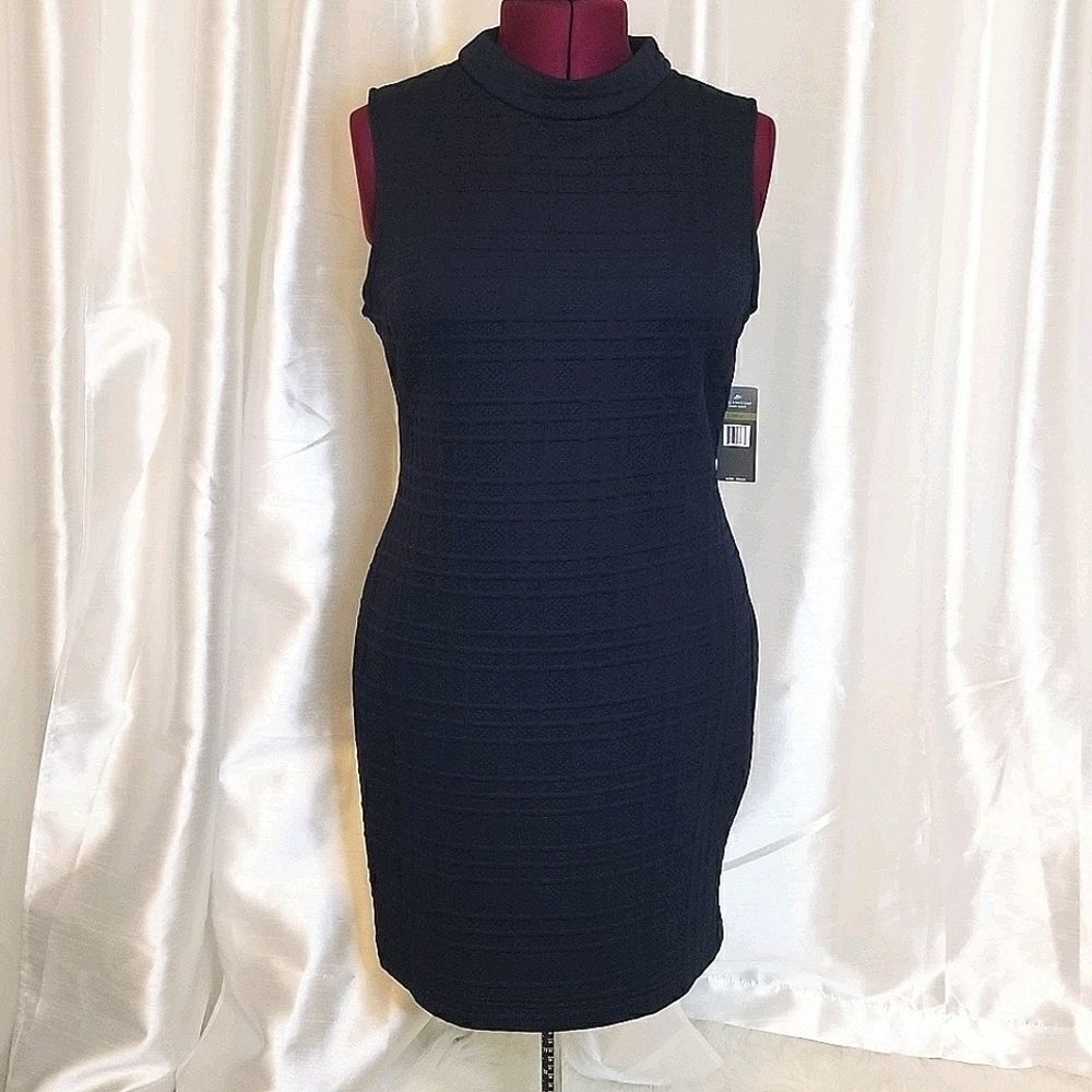 Sharagano New York Dress (size 14)